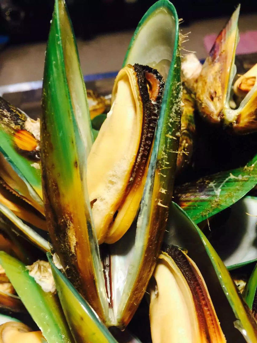 新西兰活青口贝,新西兰特有贻贝品种,个大肉厚嘌呤低,每盒净重800克