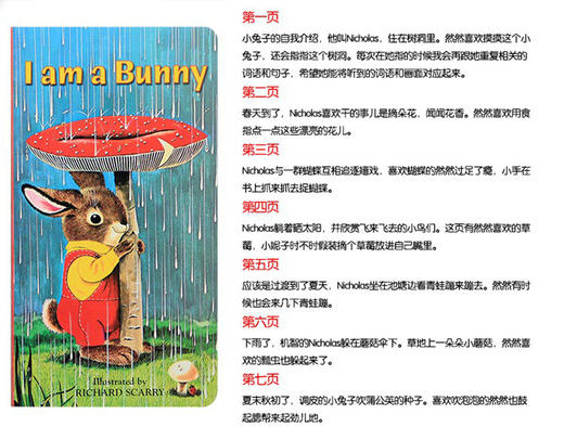进口原版 I am a Bunny 我是一只兔子 儿童早教启蒙纸板书 送音频 商品图2