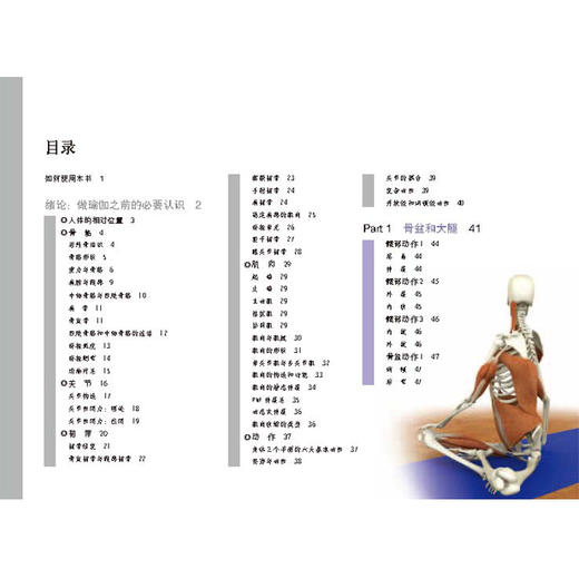 【套装】瑜伽3D解剖书——肌肉篇+动作篇 商品图5