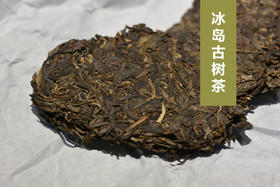 冰岛古树茶，2011年春茶饼茶