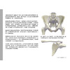瑜伽3D解剖书Ⅱ——动作篇 商品缩略图3