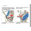 瑜伽3D解剖书Ⅱ——动作篇 商品缩略图5