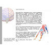 瑜伽3D解剖书Ⅱ——动作篇 商品缩略图2