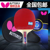 BUTTERFLY蝴蝶 成品拍 5星 6星 7星 8星系列 五 六 七 八星 蝴蝶乒乓球拍 国球汇 商品缩略图0