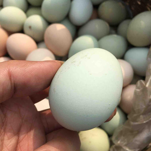散养绿壳五黑鸡蛋，京东快递包邮。拍年卡的，请私信沟通每次的发货时间及数量。 商品图1