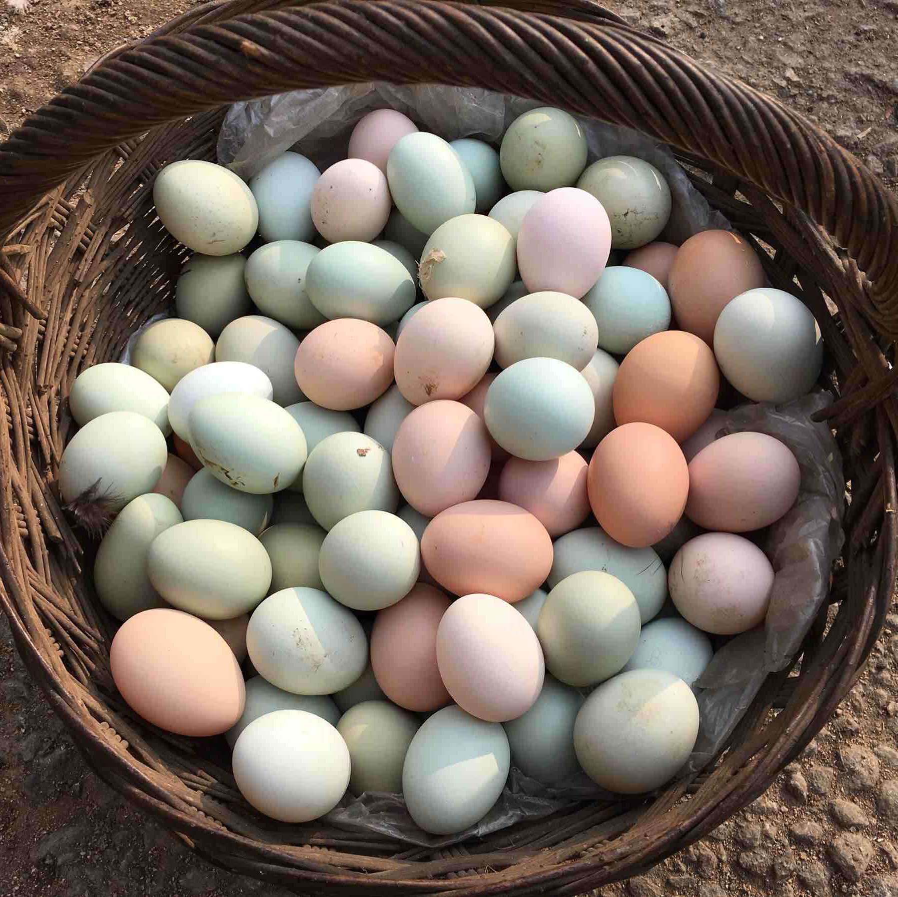 散养绿壳五黑鸡蛋，京东快递包邮。拍年卡的，请私信沟通每次的发货时间及数量。