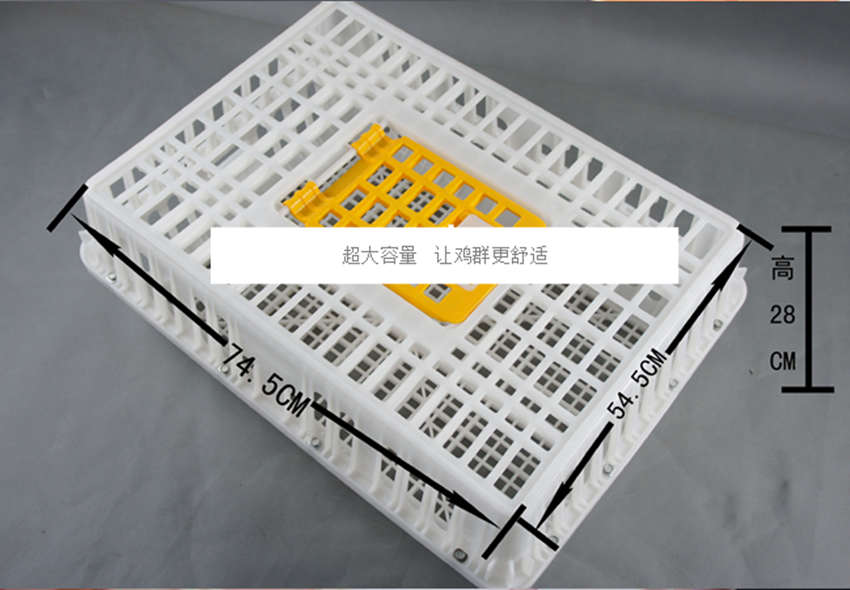 育成鸡周转筐【不锈钢丝】 （运费：到付）