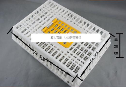 育成鸡周转筐【不锈钢丝】 （运费：到付） 商品图0