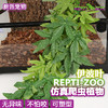 REPTIZOO爬虫饲养箱水族造景仿真植物挂叶 商品缩略图0