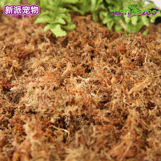 REPTIZOO爬虫专用压缩苔藓（黄色）水苔角蛙黄缘保湿垫材 商品图1