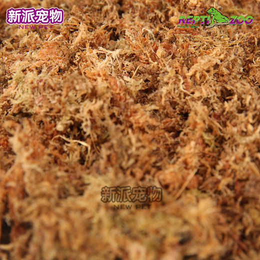 REPTIZOO爬虫专用压缩苔藓（黄色）水苔角蛙黄缘保湿垫材 商品图2