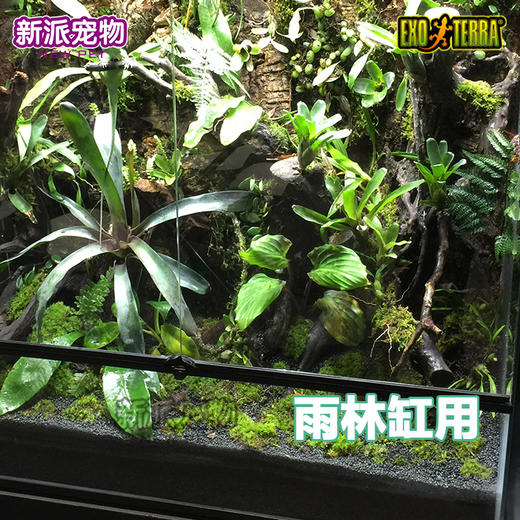 希谨正品--生态缸水陆缸尼龙隔网生态造景雨林缸水陆分离爬虫缸 商品图3