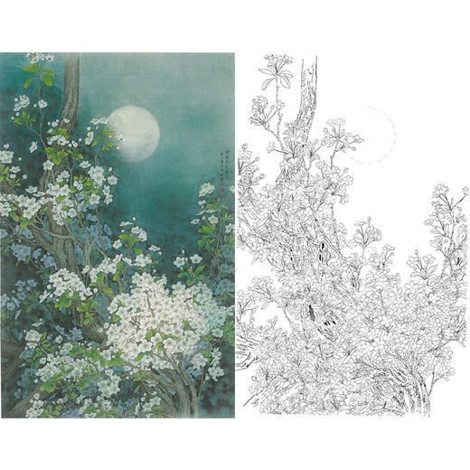 竖幅工笔花鸟白描底稿-周中耀-梨花《一树梨花影摇中》-多种白描尺寸可选-LV09 商品图0