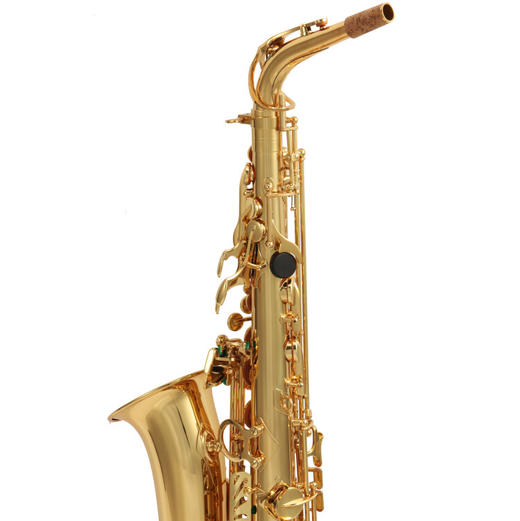 dg80漆金中音降e萨克斯