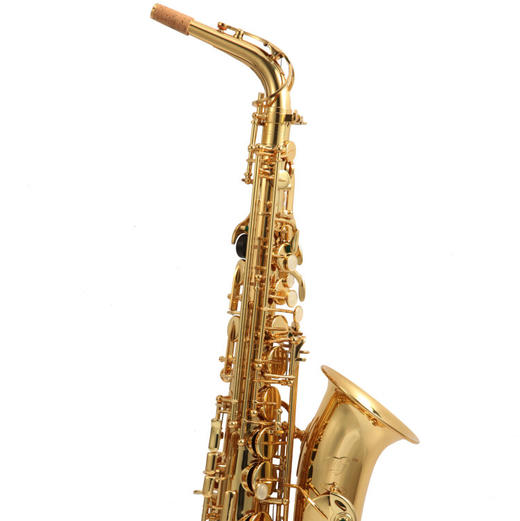 dg80漆金中音降e萨克斯