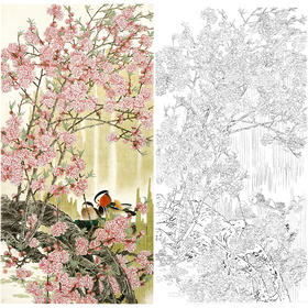 竖幅工笔花鸟白描底稿-周彦生-鸳鸯-LV01