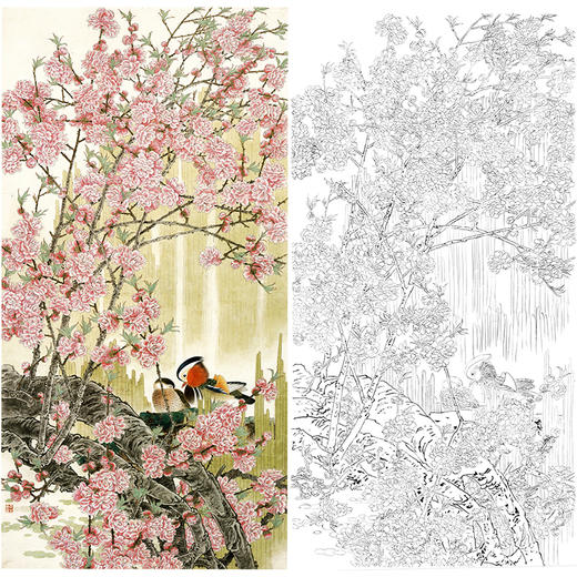 竖幅工笔花鸟白描底稿-周彦生-鸳鸯-LV01 商品图0