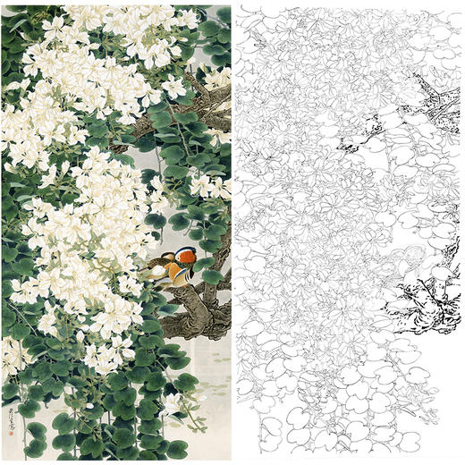 竖幅工笔花鸟白描底稿-周彦生-白荆花鸳鸯《春睡》-多种白描尺寸可选-LV03 商品图0