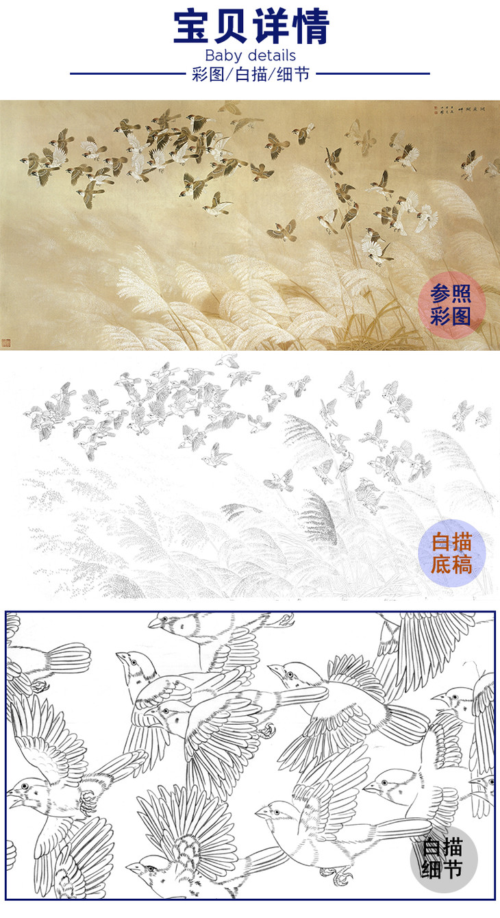 横幅工笔花鸟白描底稿周中耀芦苇麻雀洞庭湖畔lv12