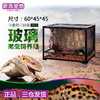 ★【REPTIZOO】爬箱饲养箱 可拆可摞 爬虫饲养箱鬃师陆龟半水龟变色龙蜥蜴 商品缩略图0