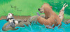 【送音频】英文原版绘本 Bear and Friends 熊和朋友们 吴敏兰推荐书单系列Bear Wants More/ Snores On/ bear's new friend 3本儿童启蒙纸板 商品缩略图2