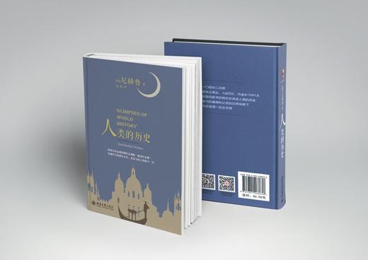 《人类的历史》
定价：56元
作者：[印]尼赫鲁 著   高原 译
装帧：精装
丛书名：沙发图书馆
出版日期：2016/4
ISBN：9787301268636
出版社：北京大学出版社
版次：1
开本 商品图1