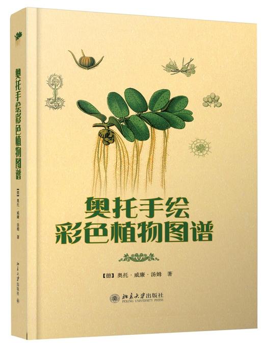 《奥托手绘彩色植物图谱》
定价：75元
作者：[德] 奥托·威廉·汤姆
包装：精装
出版时间：2012-01-01 
ISBN：9787301199152
出版社：北京大学出版社 
版次：1
开本：1 商品图0