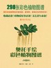 《奥托手绘彩色植物图谱》
定价：75元
作者：[德] 奥托·威廉·汤姆
包装：精装
出版时间：2012-01-01 
ISBN：9787301199152
出版社：北京大学出版社 
版次：1
开本：1 商品缩略图1