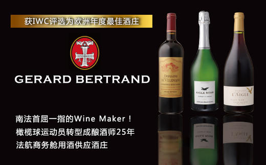 （老年份尾货）Domaine De Villemajou Blanc 2019 750Ml 飞马族庄园白葡萄酒 商品图2