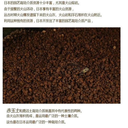 命脉 赤玉土 半水龟进口垫材3-6mm蜥蜴爬虫【LIFELINE命脉官方正版】 商品图3