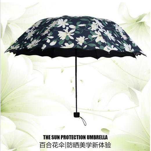 【雨伞】百合花黑胶防紫外遮阳晴雨二用折叠雨伞 商品图0