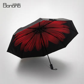 【雨伞】。防晒小黑伞双层黑胶太阳伞小雏菊伞防紫外线遮阳伞晴雨伞折叠