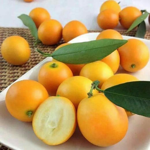 融安匠桔 脆蜜金柑 桔中精品 商品图1