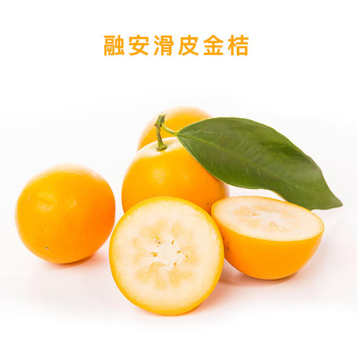 融安滑皮金桔 肉质细腻 纯甜多汁 商品图3