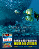 【图书】鱼类识别指南---潜水鱼书优惠套装 商品缩略图3