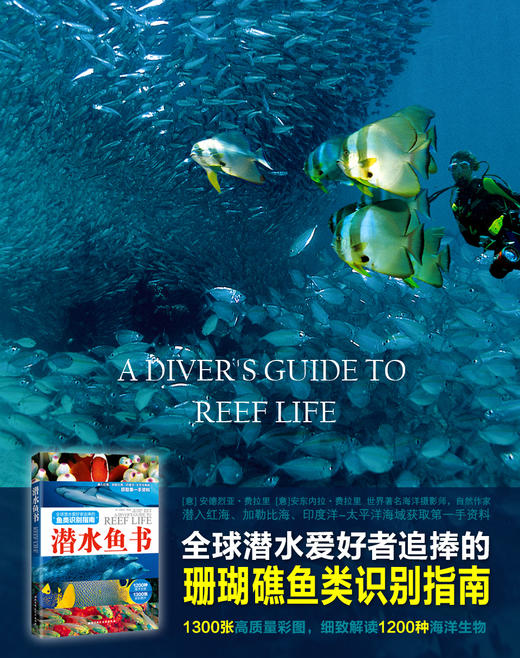 【图书】鱼类识别指南---潜水鱼书优惠套装 商品图3