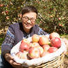 【香香美食】隆重推荐 灵宝寺河山亚洲第一高山红富士苹果 纯天然新鲜 15个/盒 商品缩略图0