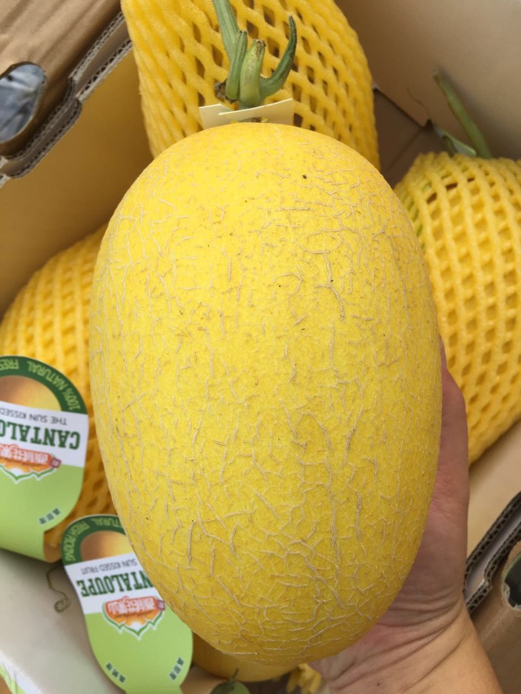 水果优选西域香妃蜜瓜