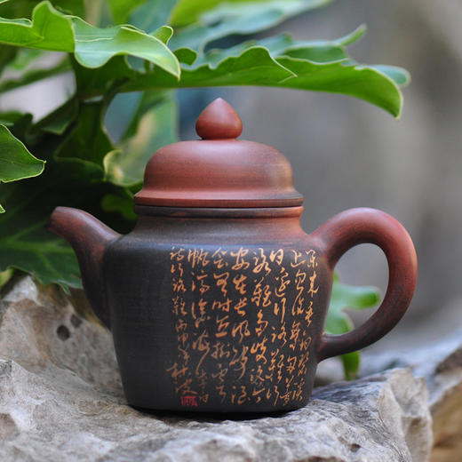 杨林波  壶 商品图0