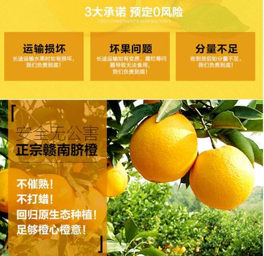 保温发货【德邦包邮】2025升级款口感赣南脐橙，生态种植山丘橙基地直邮 商品图2