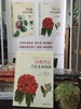 玛蒂尔达手绘木本植物 商品缩略图1