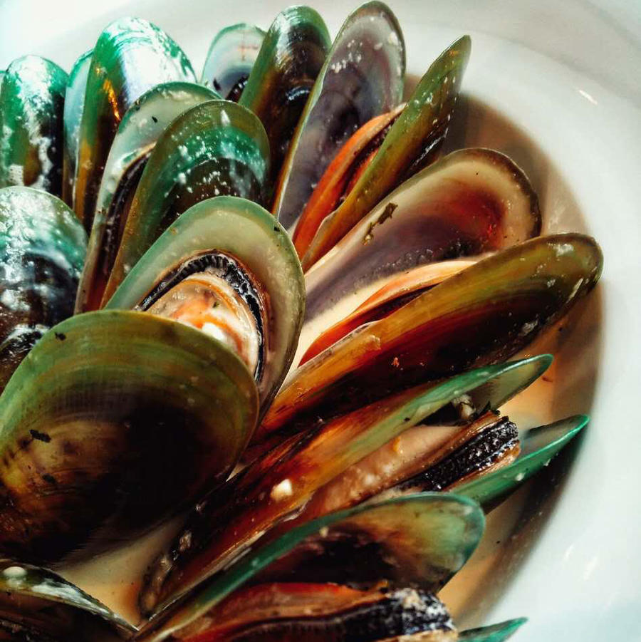 新西兰鲜活青口贝