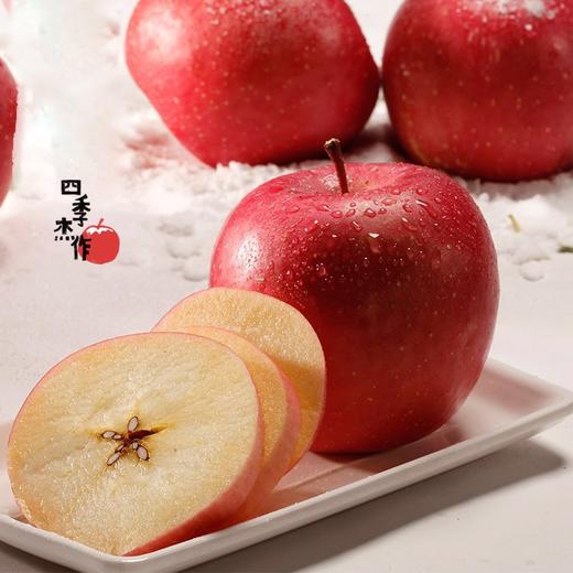 【初雪凝香】原产北纬35度的初雪凝香香苹果 9粒装 商品图0