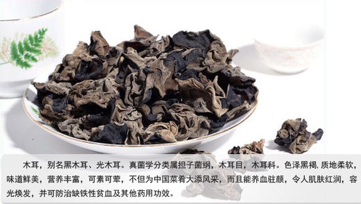 东北黑木耳，肉厚爽脆，生长期更长，产量低，质地更厚 商品图4