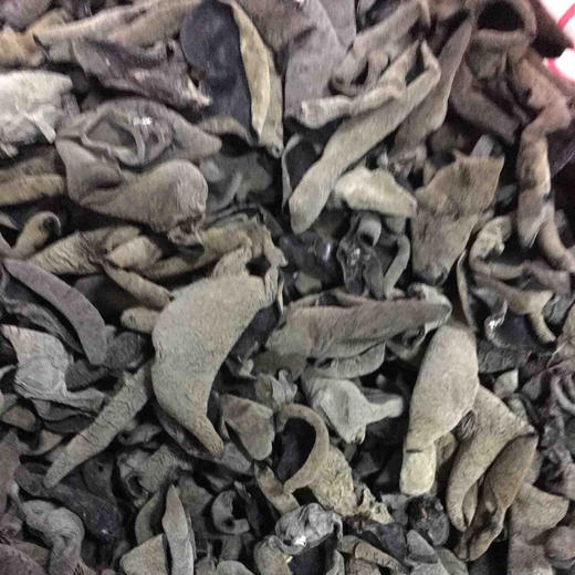 东北黑木耳，肉厚爽脆，生长期更长，产量低，质地更厚 商品图6