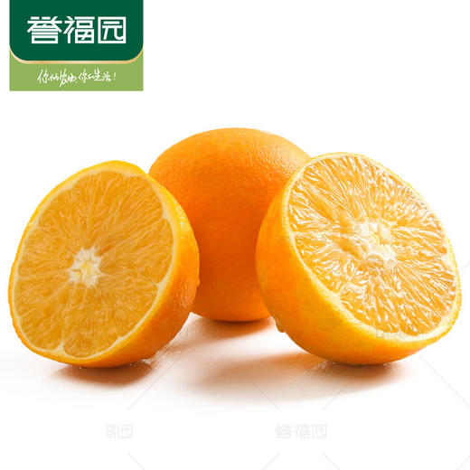 【秭归脐橙-纽荷尔】誉福园 纽荷尔5斤/9斤 中大果彩箱 新鲜水果橙子 现摘现发 商品图4