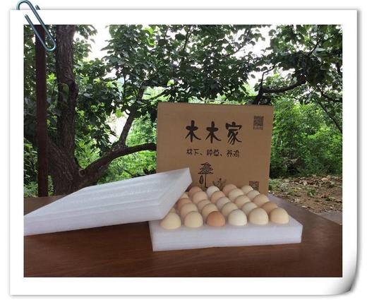 生态牧草蛋 商品图4