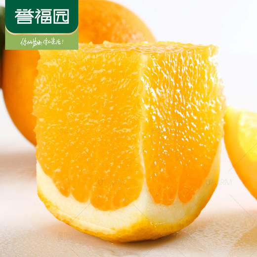 【秭归脐橙-纽荷尔】誉福园 纽荷尔5斤/9斤 中大果彩箱 新鲜水果橙子 现摘现发 商品图2