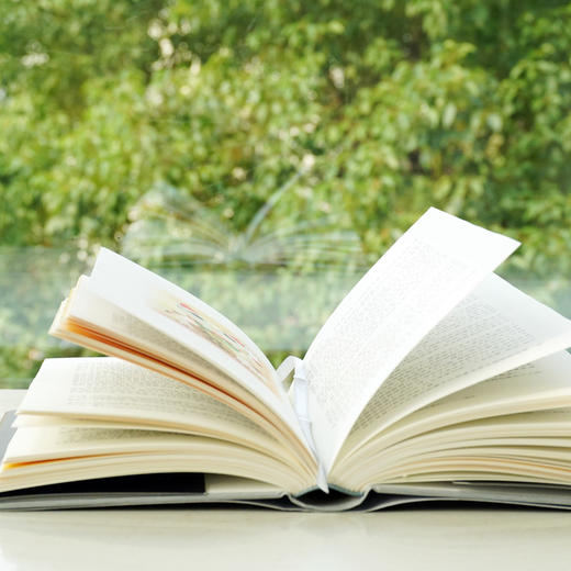 猫的私人词典 精装 猫咪百科全书 猫奴对喵星人的深情告白 商品图4