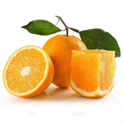 【秭归脐橙-纽荷尔】誉福园 纽荷尔5斤/9斤 中大果彩箱 新鲜水果橙子 现摘现发 商品图1